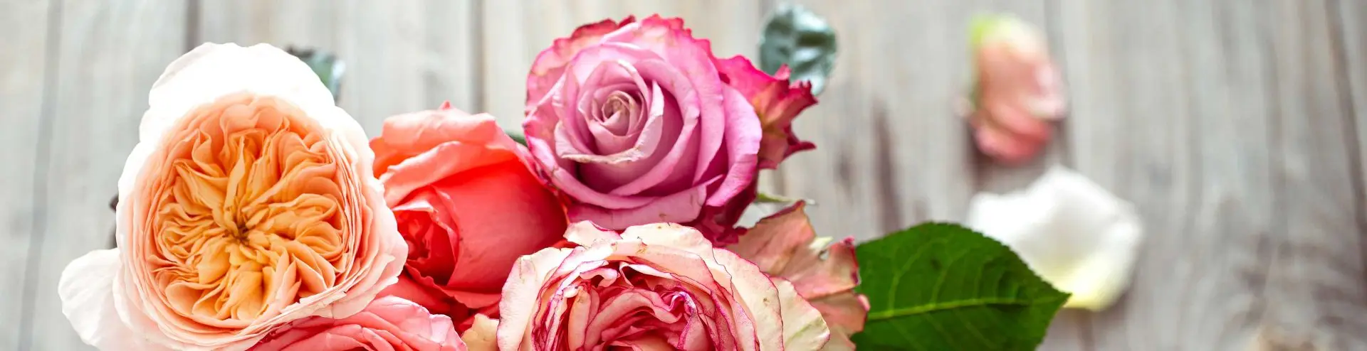 7 claves para conservar un ramo de rosas