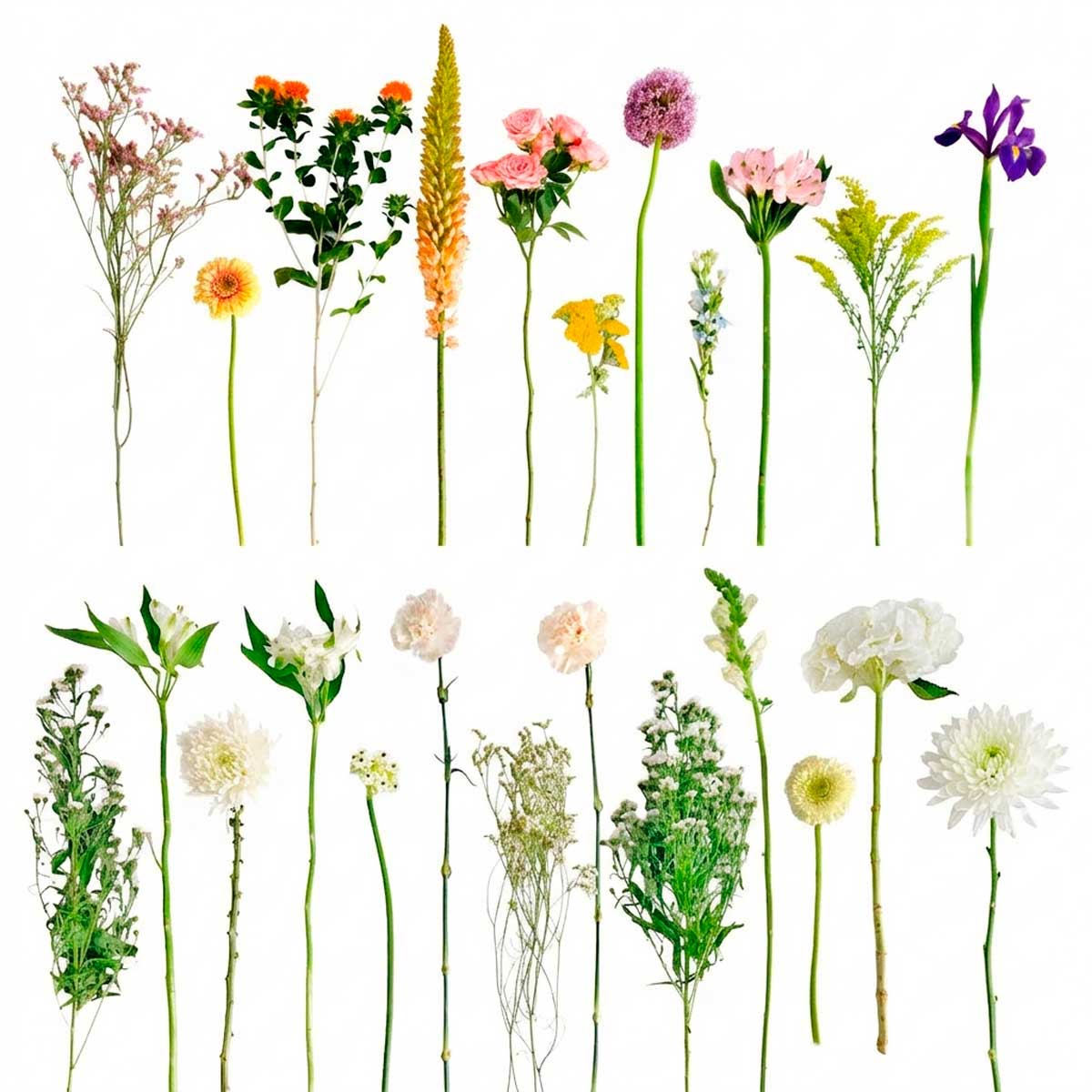 KIT DE FLORISTA